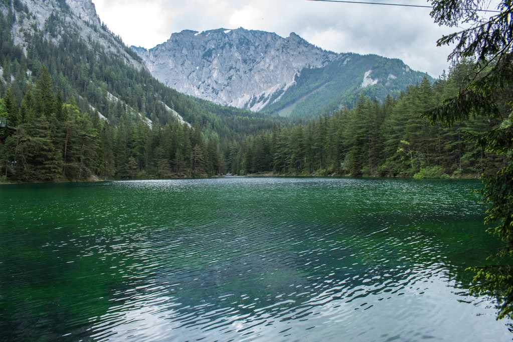 绿色湖水景象