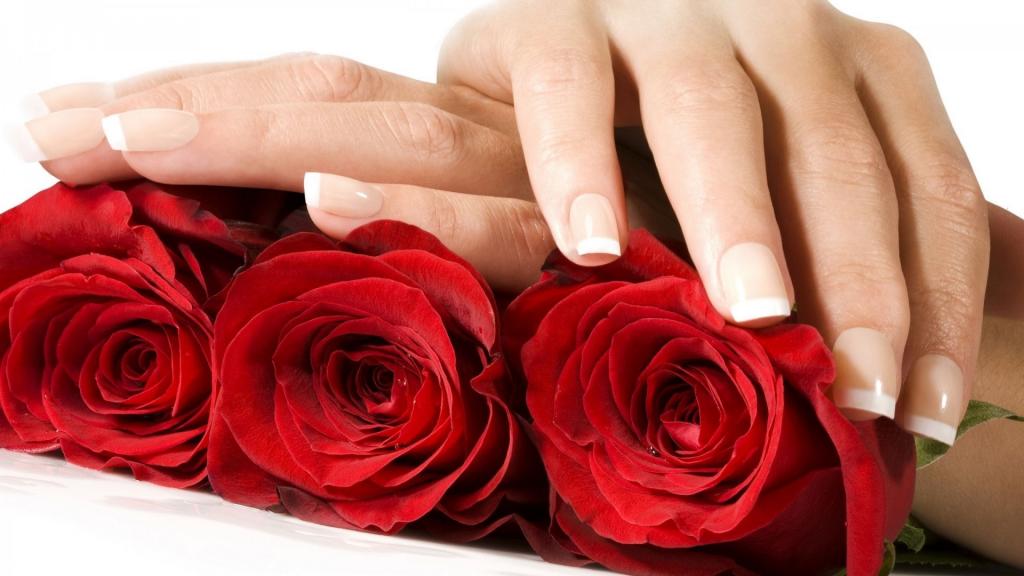 红玫瑰和女人的手