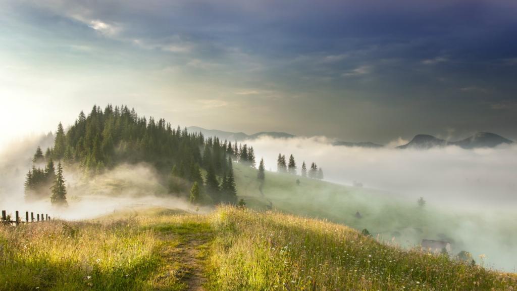乌克兰喀尔巴阡雾