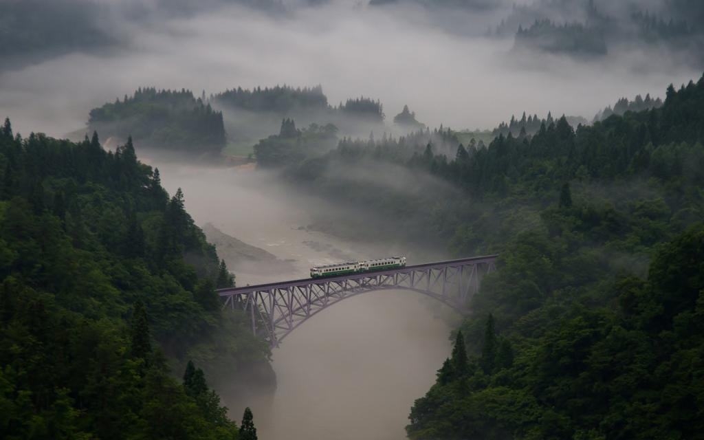 在一个绿色的森林和一条河的拱形式的铁路桥