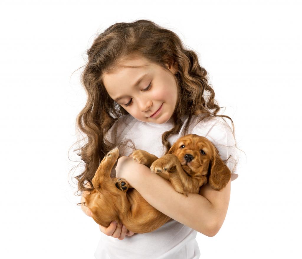 有一只小狗在她手中的棕发女人的小女孩在白色背景上