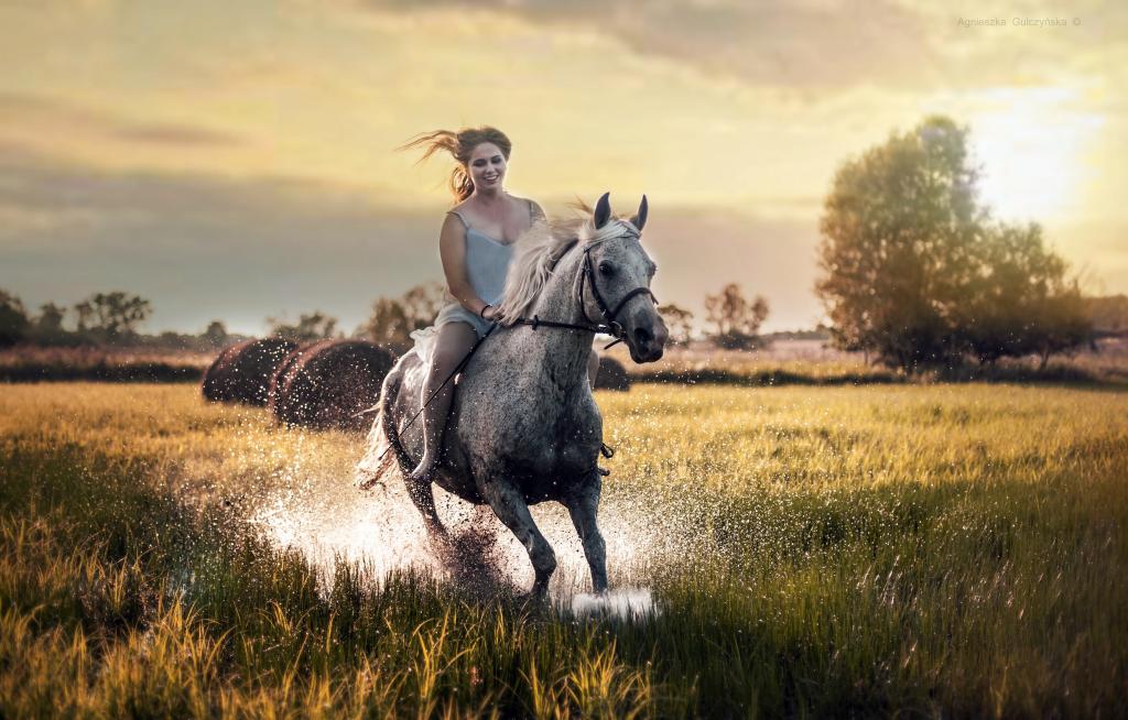 美丽的年轻女孩，在湿草地上跳跃在马背上