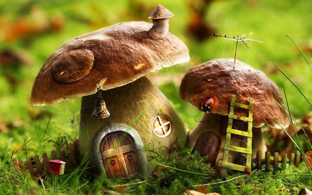 蘑菇成了房子