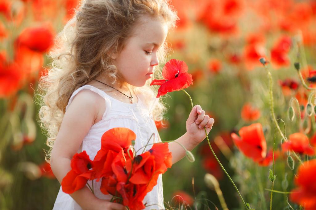 一束红色的罂粟花，在她的手中的小女孩