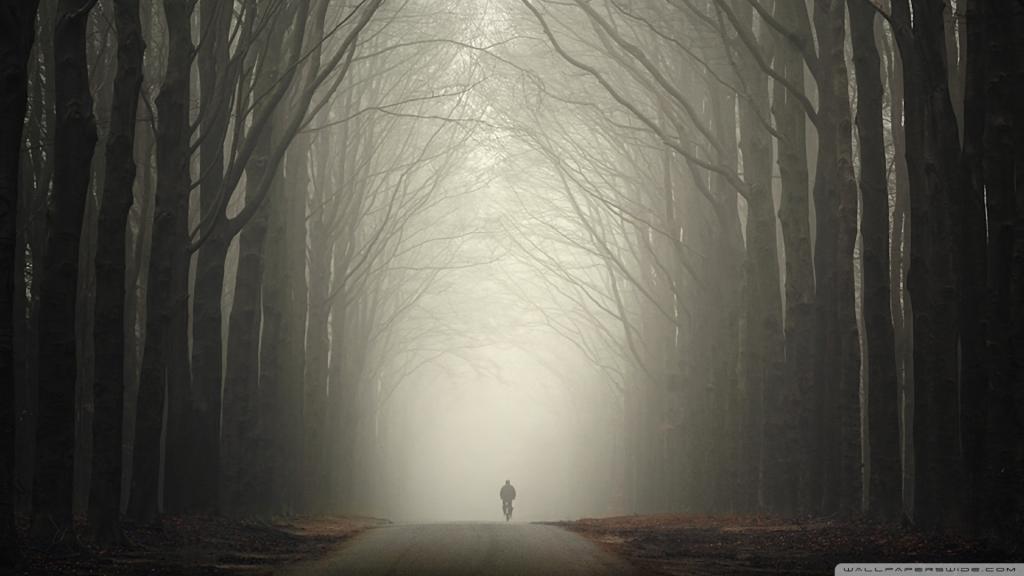 骑自行车者在一个有薄雾的森林里