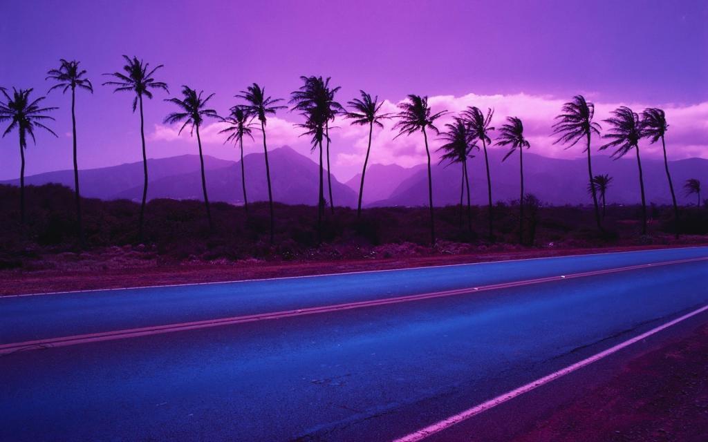棕榈树的紫色山脉和云背景