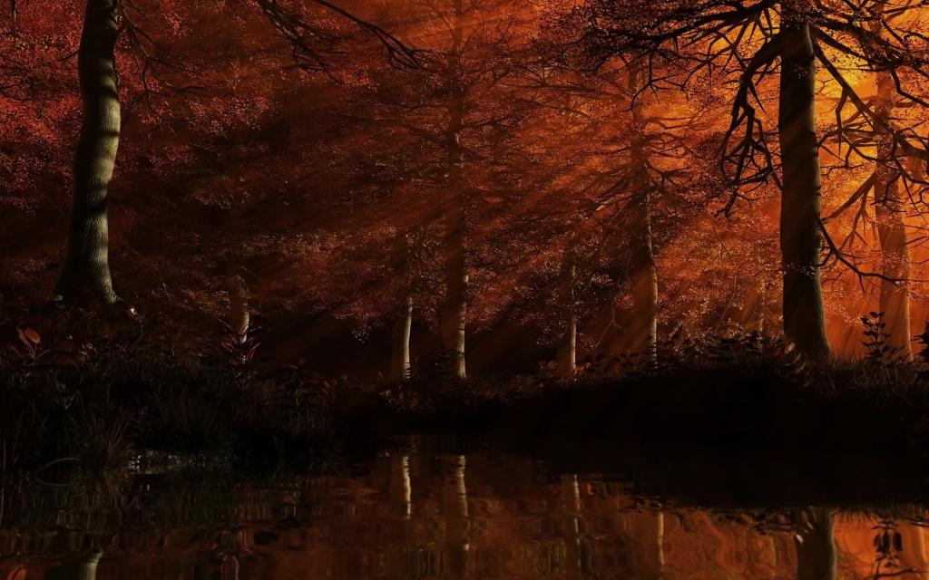 日落时的红色森林