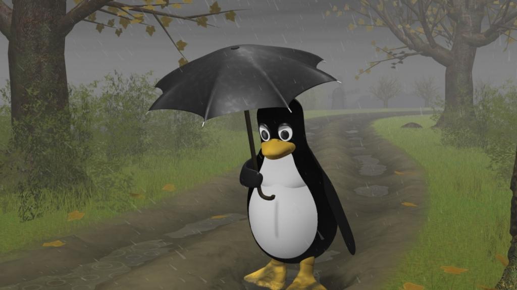 雨在Linux的头上