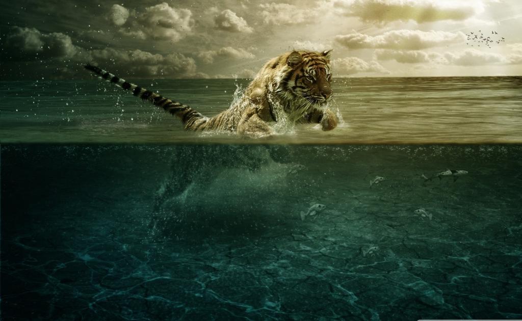 老虎漂浮在水中