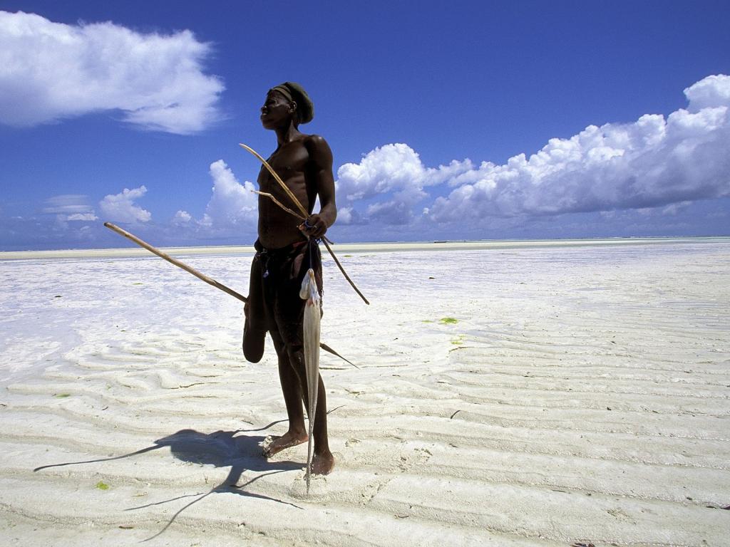渔夫在浅水/桑给巴尔/坦桑尼亚/非洲岸上