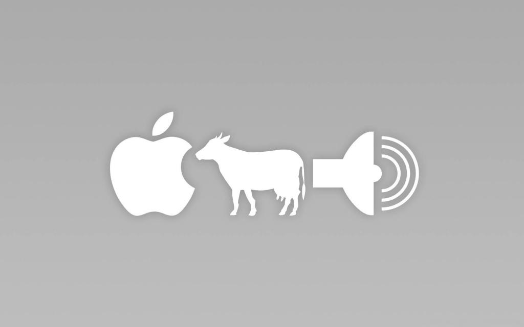苹果，牛和扬声器，灰色的背景