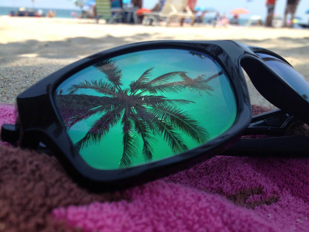 在眼镜中，一棵棕榈树的倒影