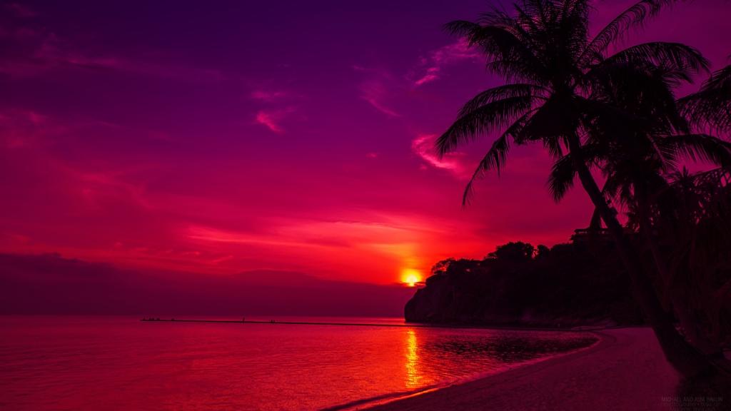 在粉红色的日落下海滩上的棕榈树