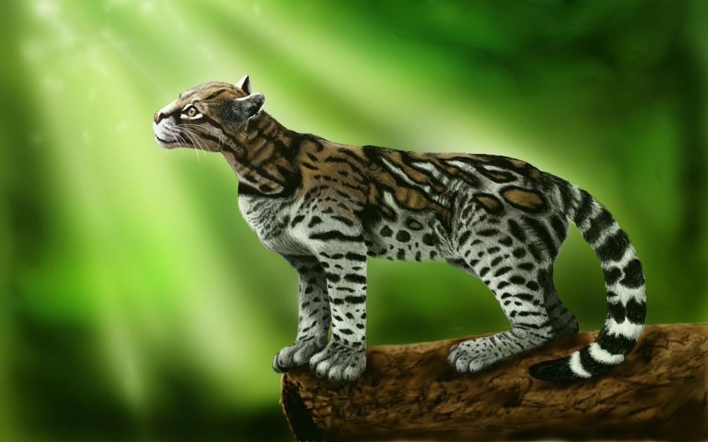 猫豹猫站立在绿色背景