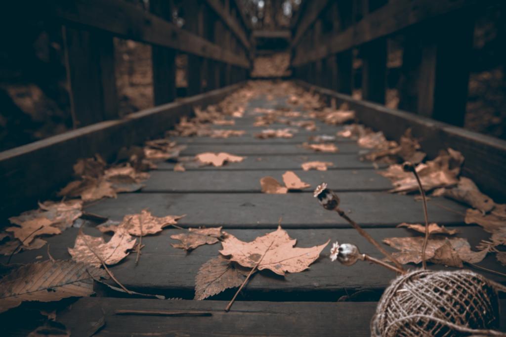 秋天的落叶，在一座木桥上