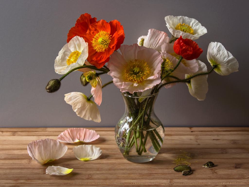一束透明花瓶里的一大束美丽的罂粟花