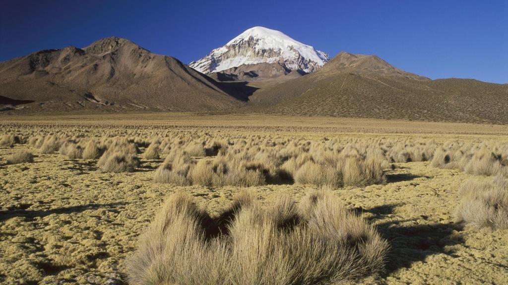 在玻利维亚严峻的沙漠景观