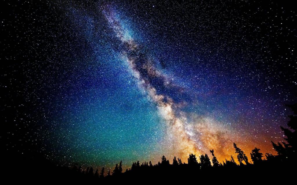 银河在森林上空的繁星点点的天空