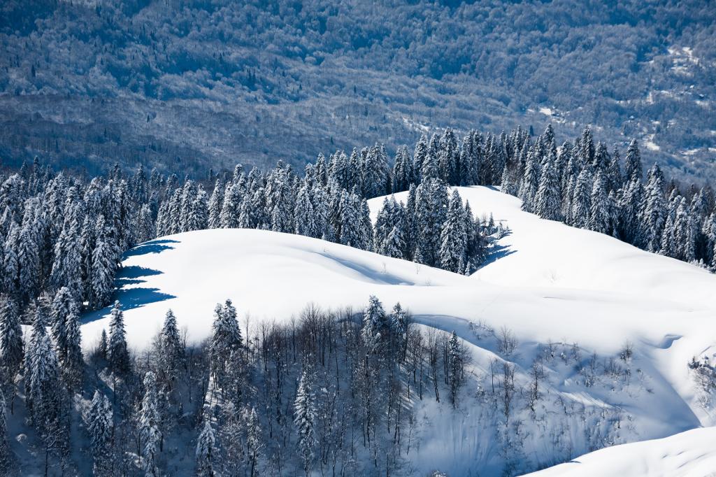 冬季景观在索契2014年