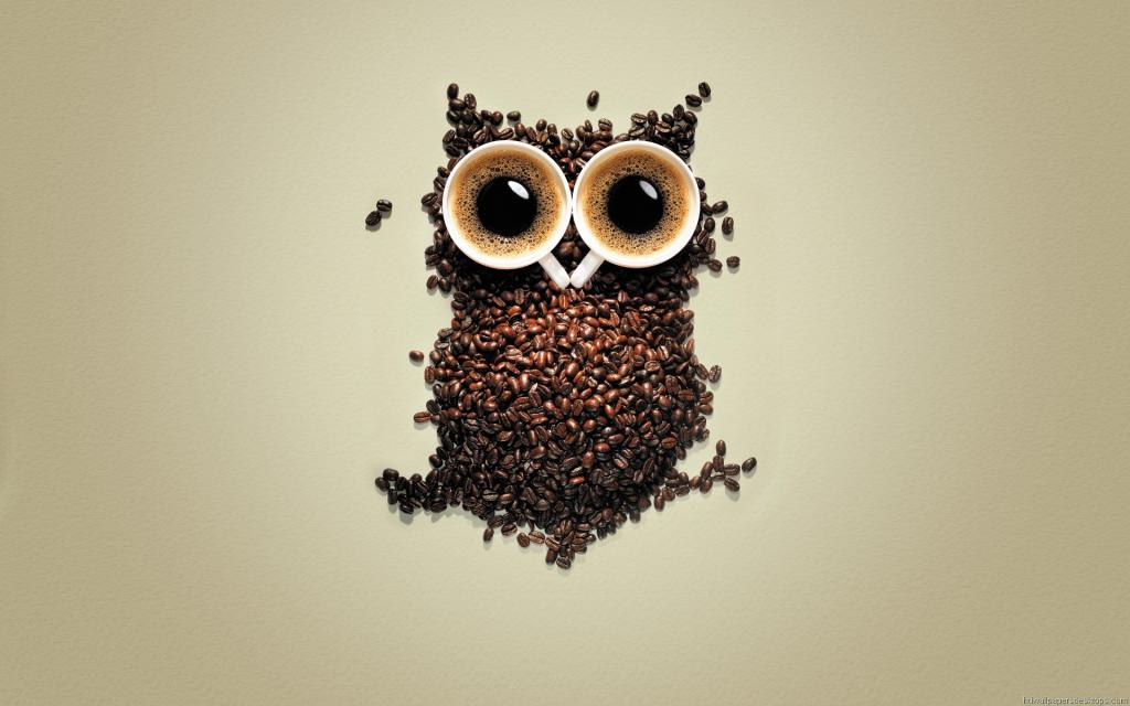 猫头鹰由咖啡制成