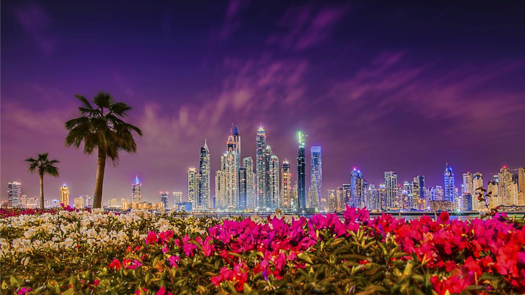 迪拜的夜摩天大楼的视图