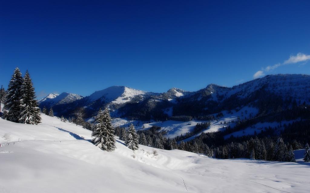 冬天在阿尔卑斯山