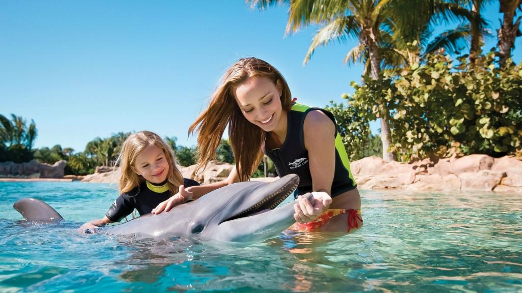 女儿和女儿一起玩海豚