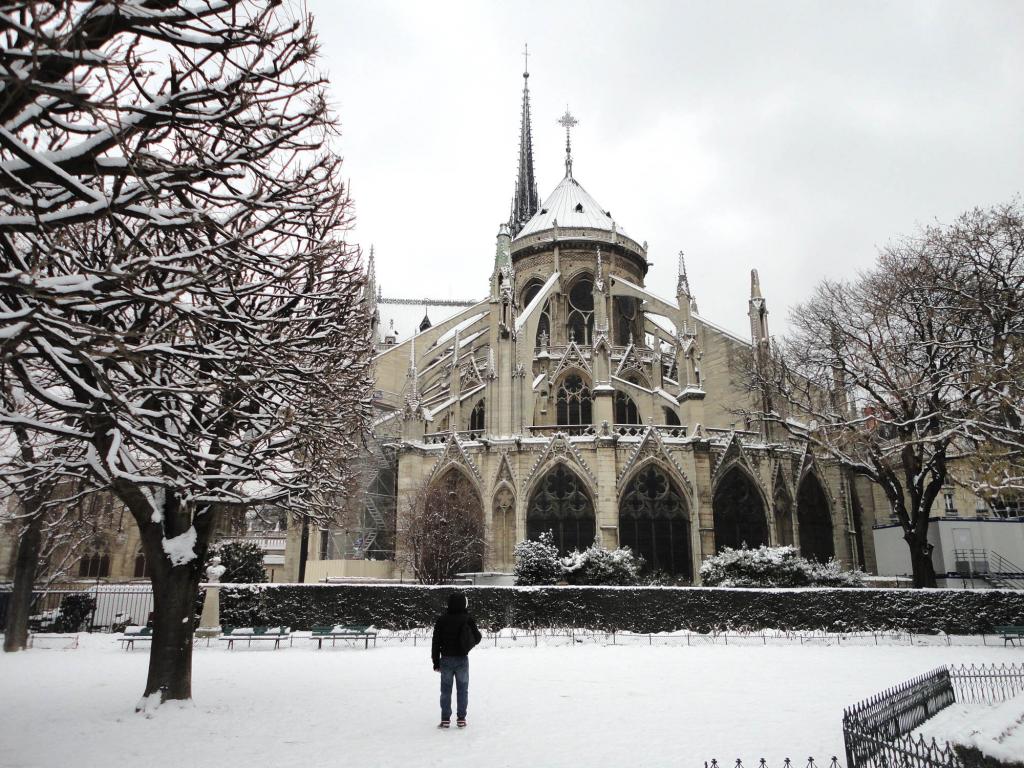 雪在巴黎巴黎圣母院大教堂
