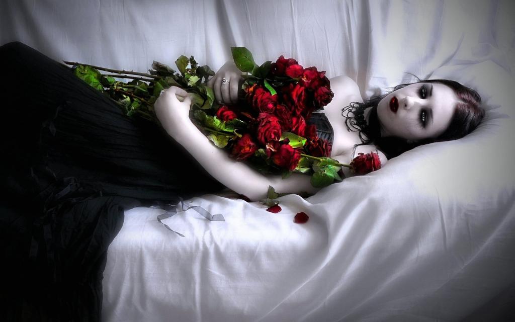 一束玫瑰的吸血鬼女孩