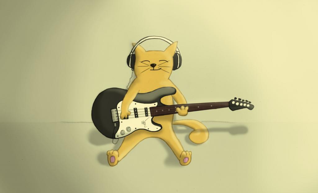 与吉他的猫
