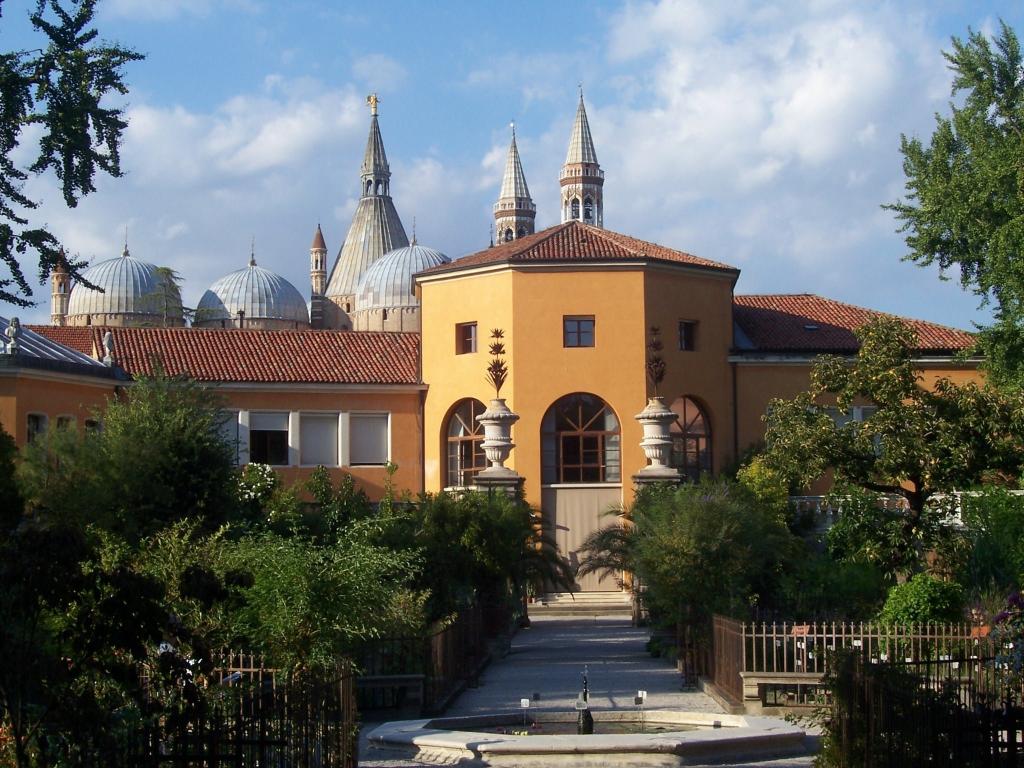Orto Botanico在意大利帕多瓦