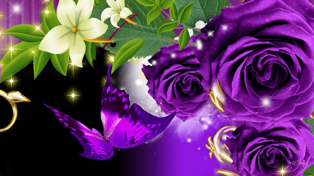 紫色玫瑰和一只蝴蝶在黑色背景上