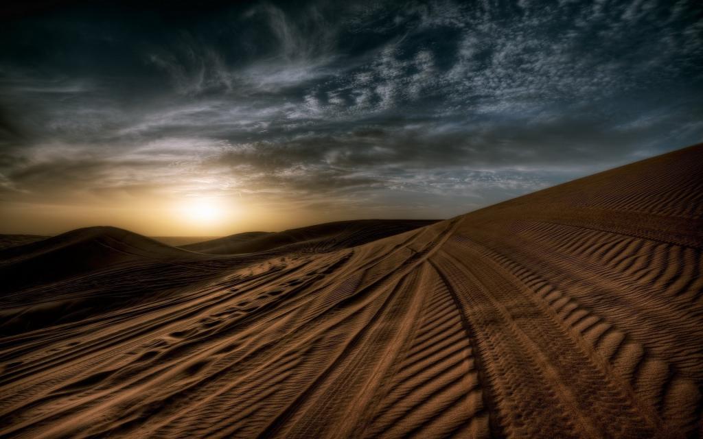 在沙漠中的沙子上的轮胎痕迹