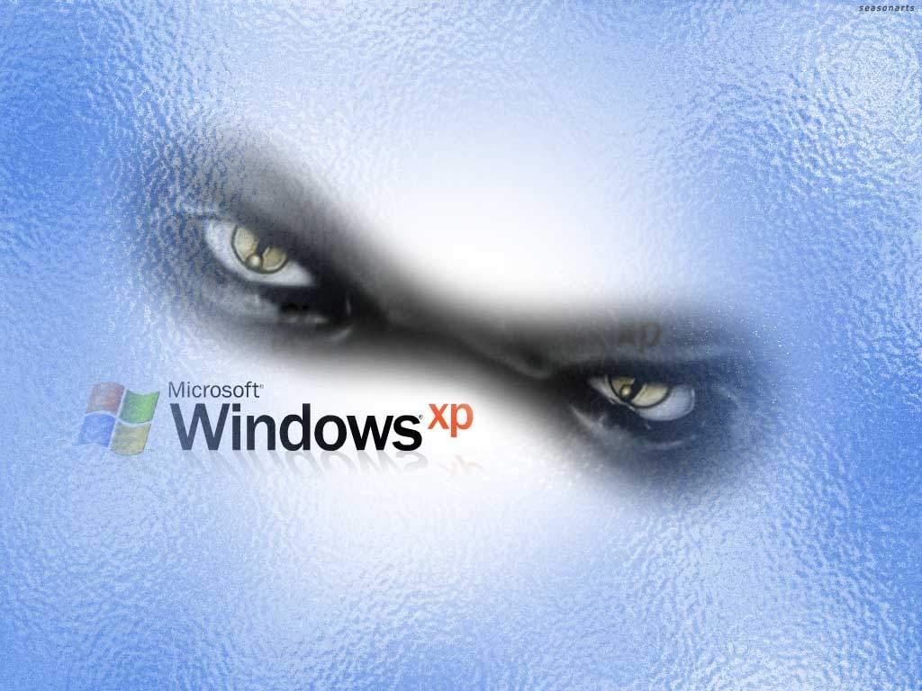 Windows XP的眼睛