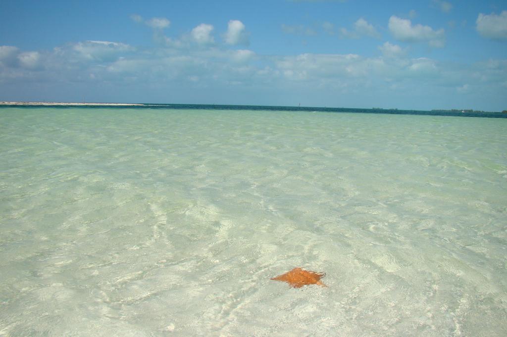 浅水在古巴拉戈岛的度假胜地