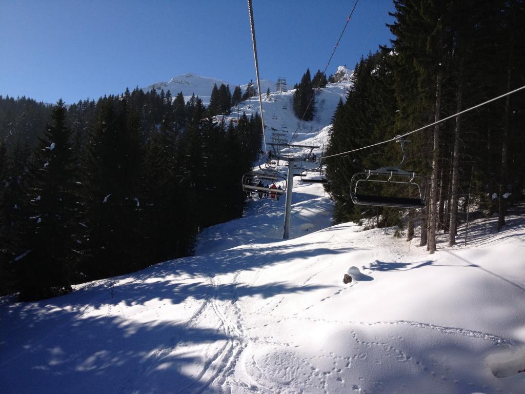 法国萨摩扬滑雪胜地的松树滑雪缆车