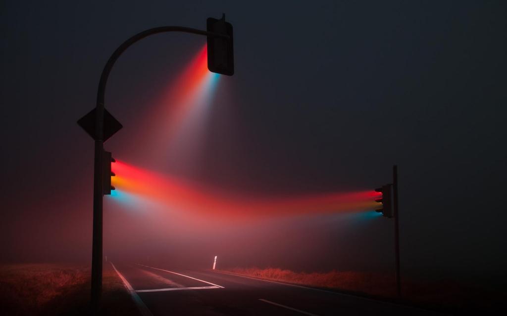 在雾中轻的交通灯