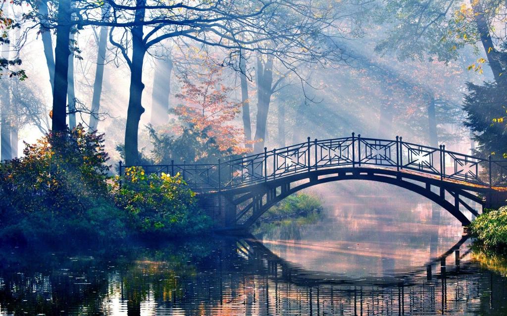 太阳的光线刺穿森林和河上的桥梁