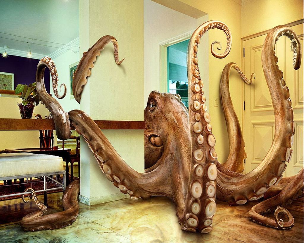 在房间里的巨型章鱼