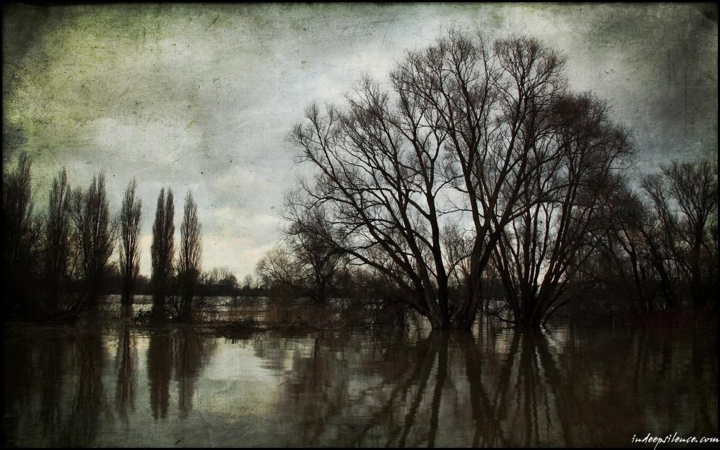 图片河的春天洪水