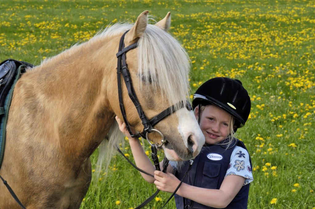 头盔与马的小女孩