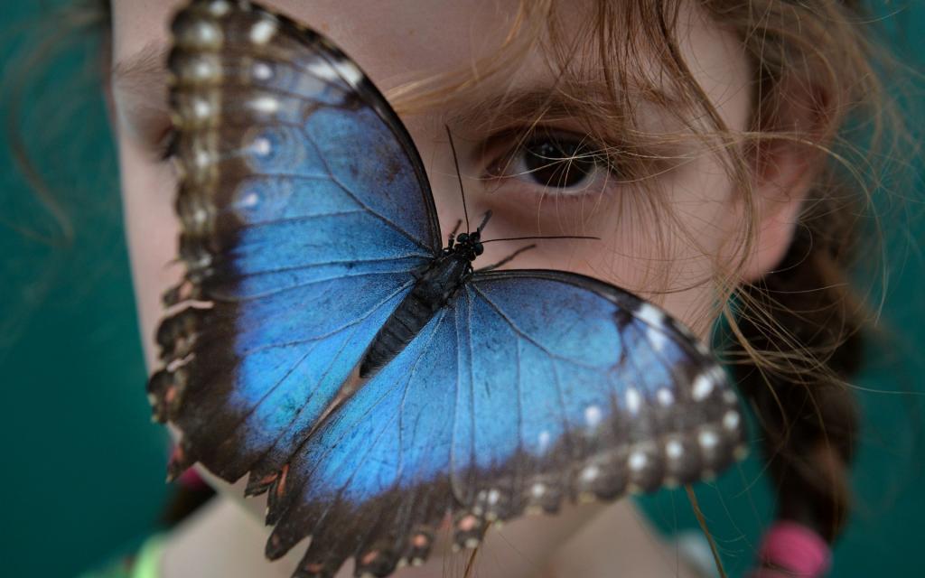在女孩的脸上的蓝色蝴蝶