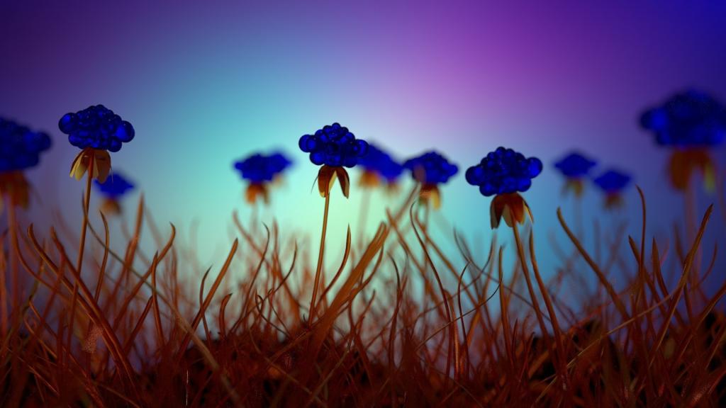 枯萎的蓝色花朵