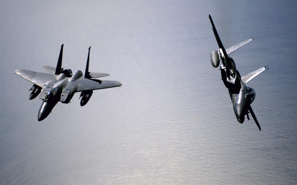夫妇F-15在海的老鹰