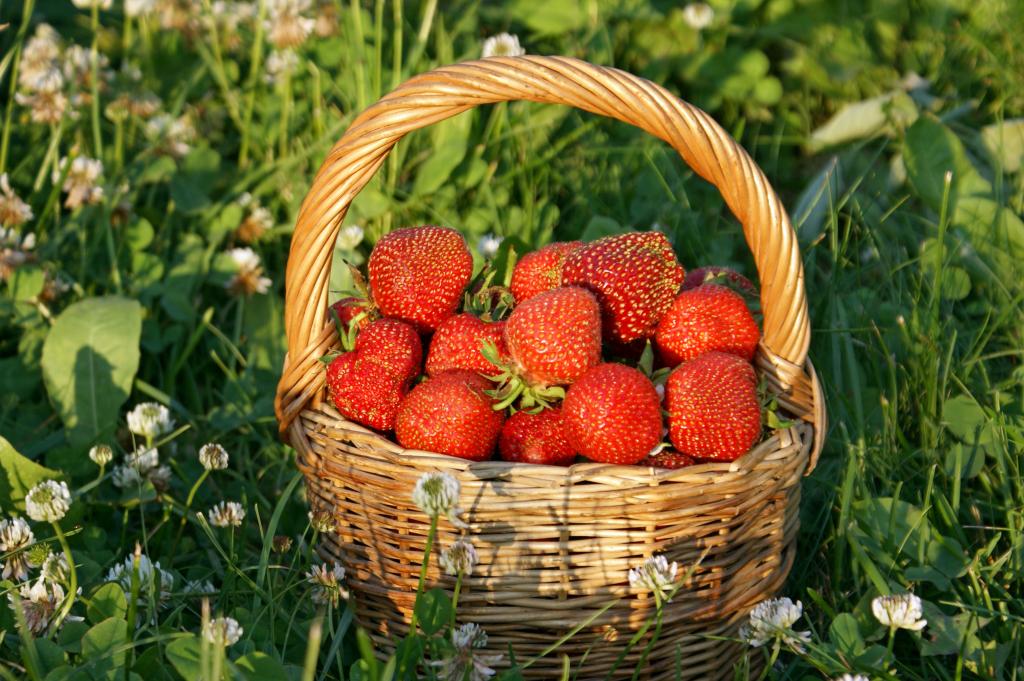 站立在草的新鲜的草莓篮子
