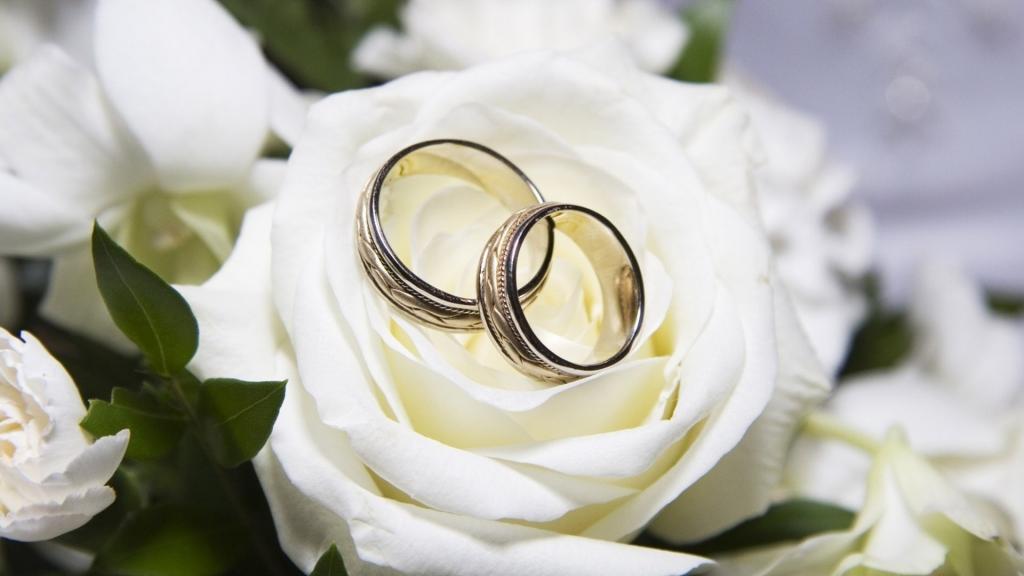 美丽的白玫瑰和结婚戒指