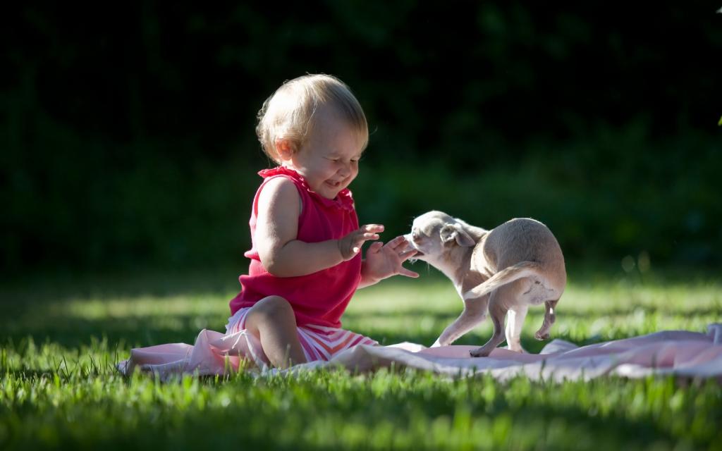 一个小孩正在玩一只狗