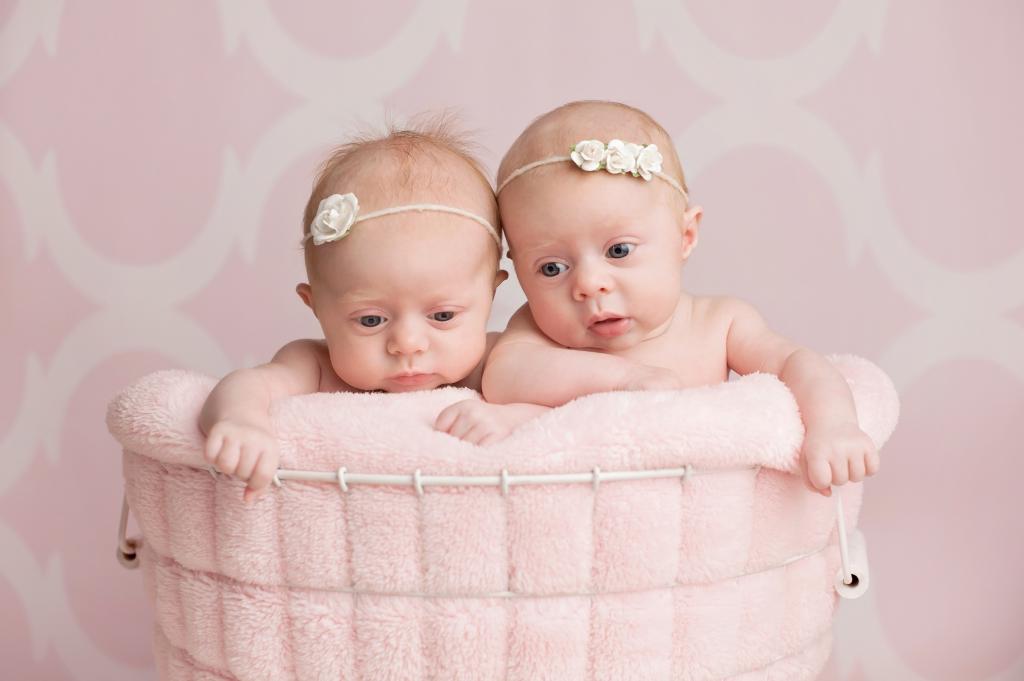两个婴儿双胞胎女孩在篮子里