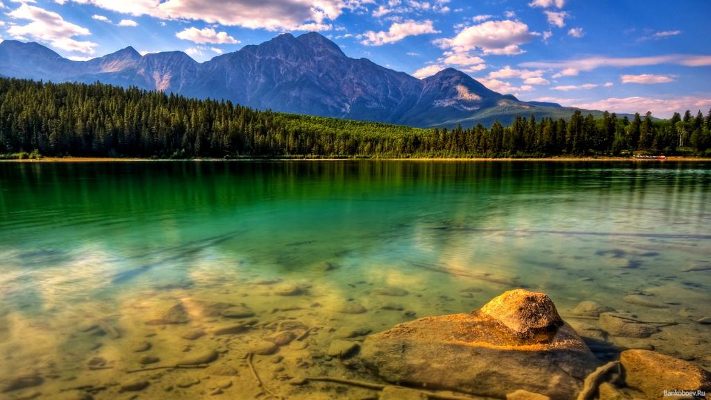 绿色的山湖