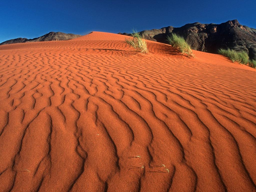 沙丘/兰德纳米布保护区/纳米比亚/非洲的足迹